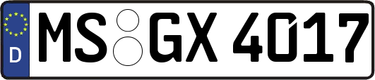 MS-GX4017