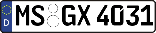 MS-GX4031