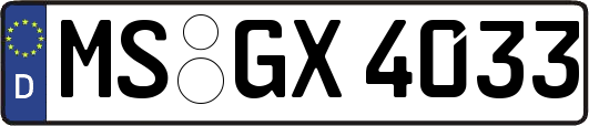 MS-GX4033