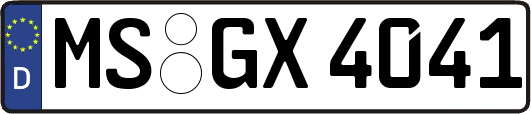 MS-GX4041