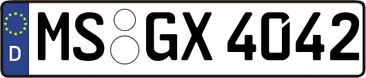 MS-GX4042