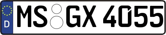 MS-GX4055