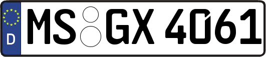 MS-GX4061