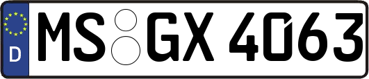 MS-GX4063