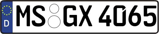 MS-GX4065