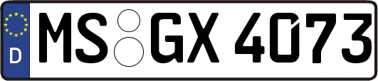 MS-GX4073