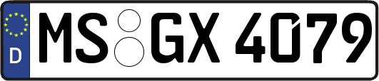MS-GX4079