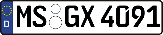 MS-GX4091