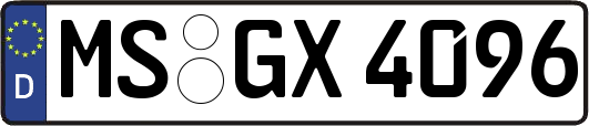 MS-GX4096