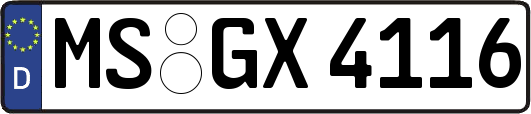 MS-GX4116