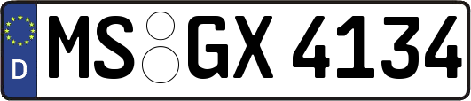 MS-GX4134