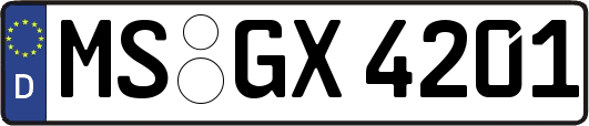 MS-GX4201