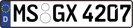 MS-GX4207