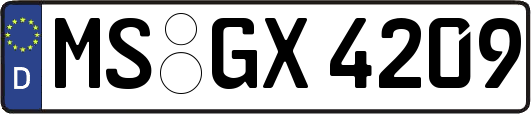 MS-GX4209