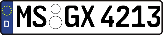 MS-GX4213