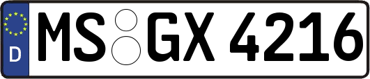 MS-GX4216