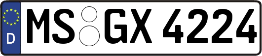 MS-GX4224