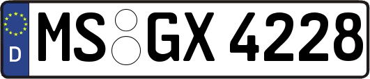 MS-GX4228