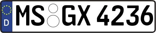 MS-GX4236