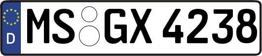 MS-GX4238