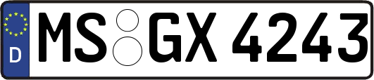 MS-GX4243