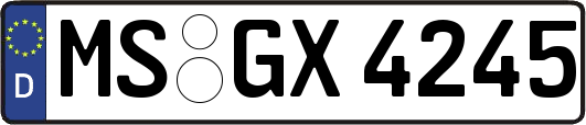 MS-GX4245