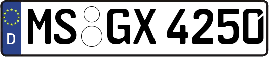 MS-GX4250