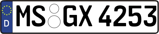 MS-GX4253