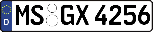 MS-GX4256