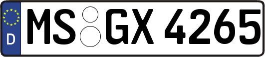 MS-GX4265