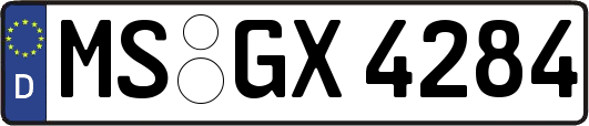 MS-GX4284