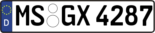 MS-GX4287