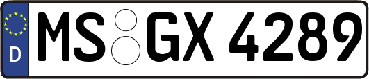 MS-GX4289