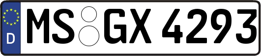 MS-GX4293
