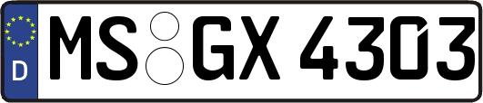 MS-GX4303