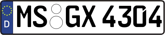 MS-GX4304