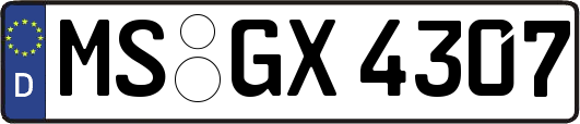 MS-GX4307