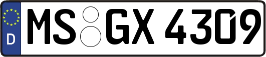 MS-GX4309