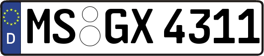 MS-GX4311