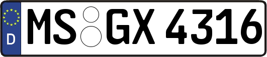 MS-GX4316