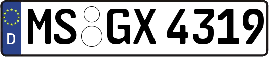 MS-GX4319