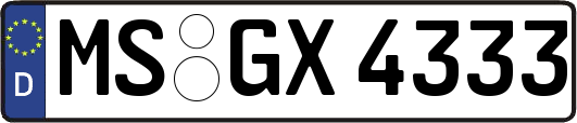 MS-GX4333