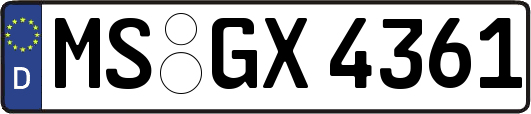 MS-GX4361