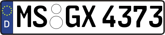 MS-GX4373