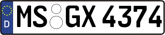MS-GX4374