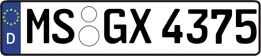 MS-GX4375