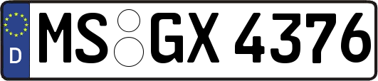 MS-GX4376