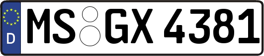 MS-GX4381