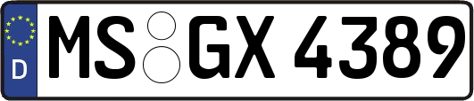MS-GX4389