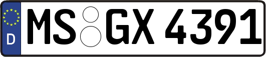 MS-GX4391